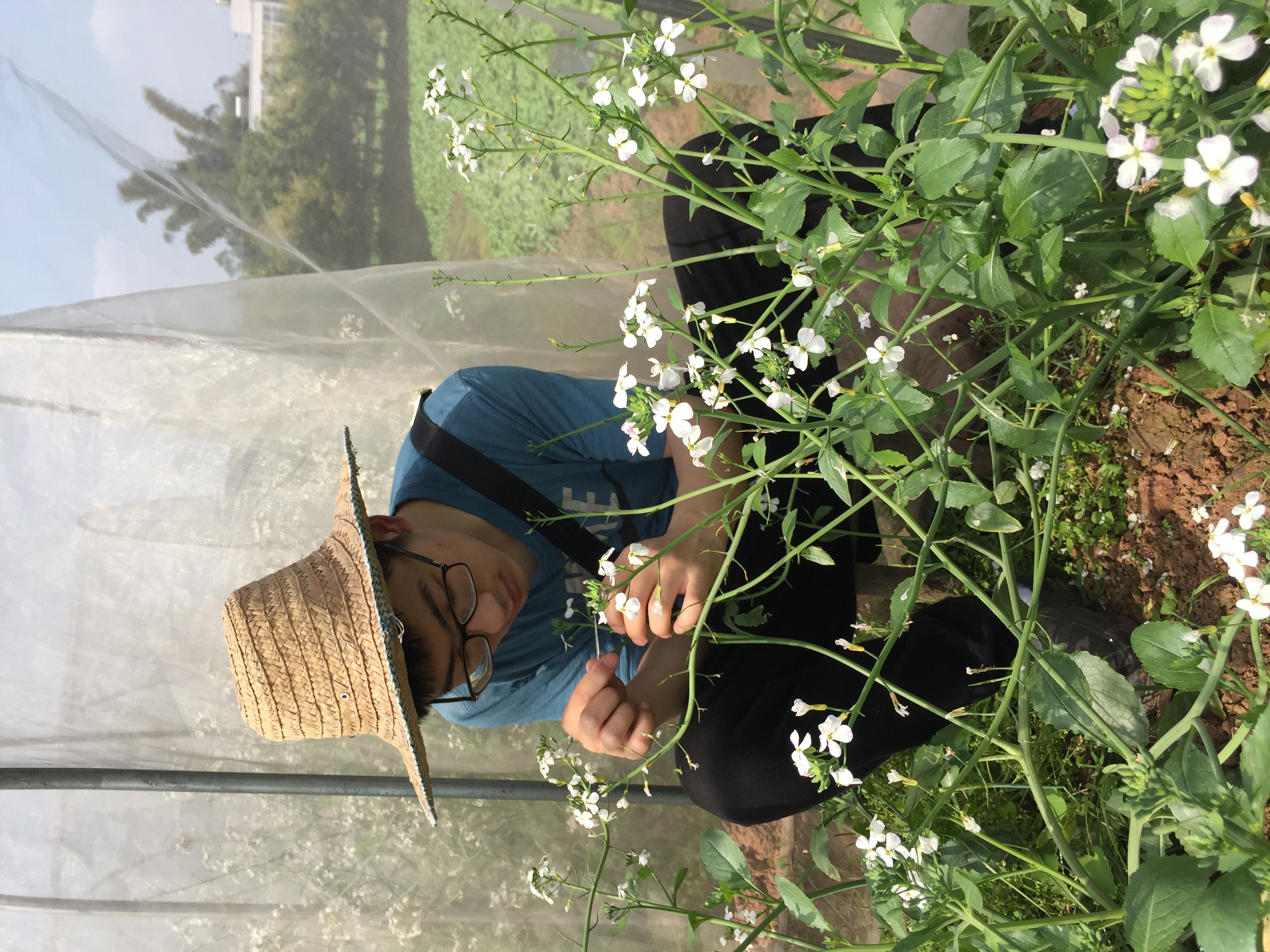 重慶方正農(nóng)業(yè)種子上太空啦！